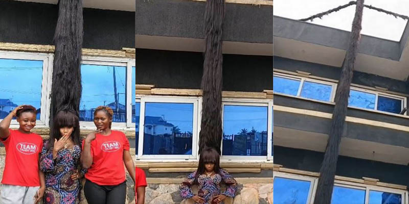 Vidéo: Elle fabrique une perruque plus longue qu’un immeuble de 3 étages et entre dans le record Guinness.